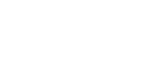 Site services nevada logo lr